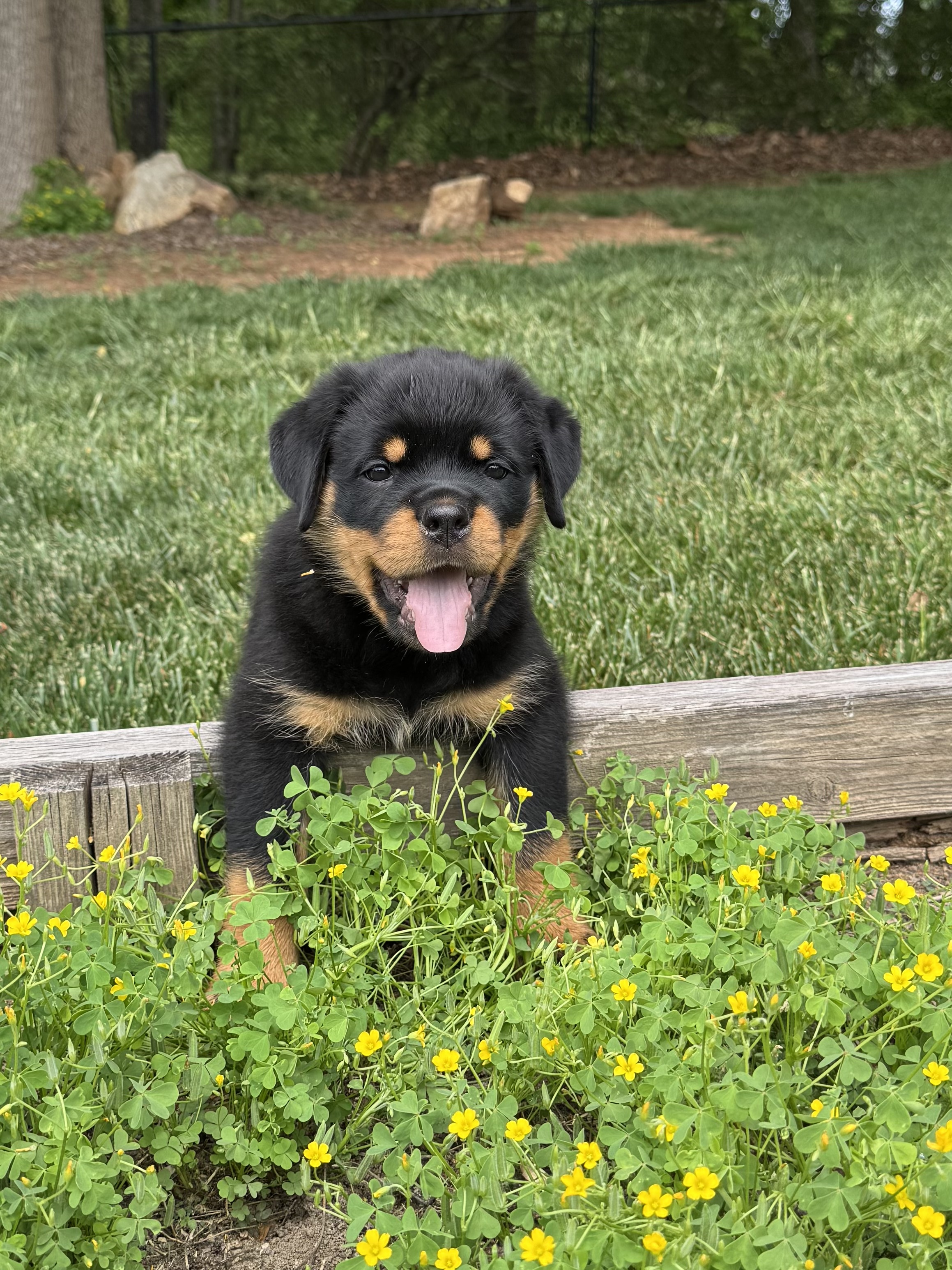 Scenic Breeder Property