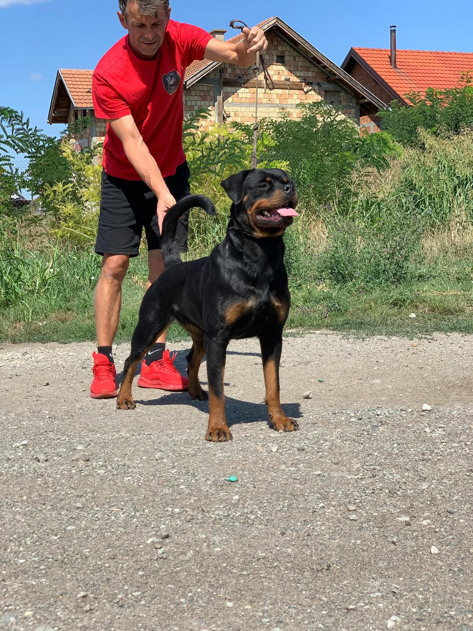 Aura Futogline (Serbia)